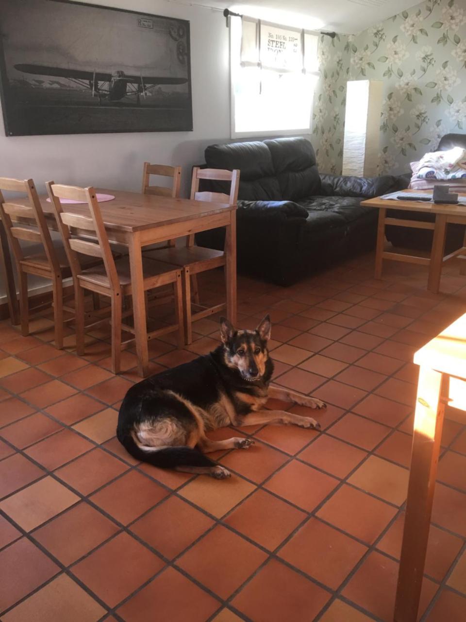 Vanga Hostel Zewnętrze zdjęcie